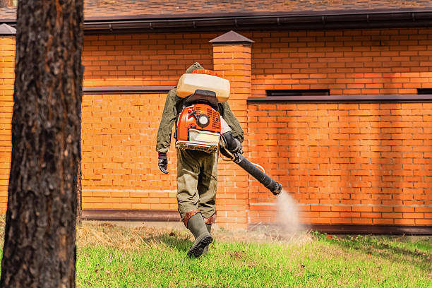 Trusted Emergency Pest Control service in Richmond Heights, MO - Nex Pest Control
